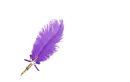 Feather Pen Dark Purple - Heather 
