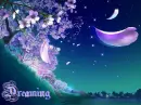 dreaming night