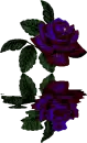 purple flower