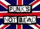 Punks not Dead (The Adicts)