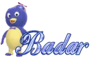 Badar