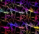 Colorful texture