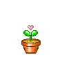 love plant