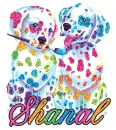 colorful puppies shanal