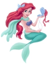 Ariel