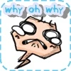 why xD