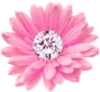 DIAMOND FLOWER