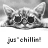 Chilling Cat