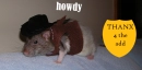 thanx for the add rat 