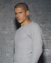 michael scofield