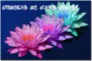 have a nce day