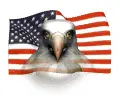 eagle american flag
