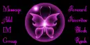 Purple butterfly