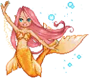 MER 1