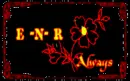 ENR
