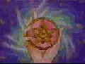 sailor moon