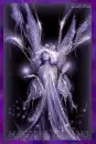 Magical Dreams