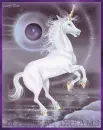 Mystical Dreams