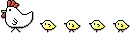 cute chicken and chicks