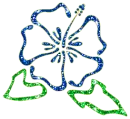 hawaiian flower