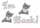 Im Back