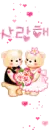 bears