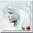 Lady with Rose