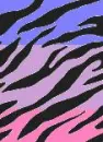 bisexual animal print