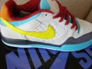Nike SB dunk