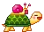 turtle snail