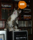 ahhh