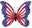 american butterfly