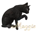 Maggie