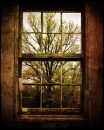 Looking out the old creepy window
