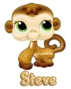 littlest petshop steve
