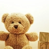 Teddy