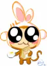 yoyo