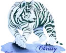Chrissy