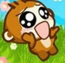 yoyo