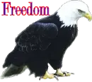 freedom
