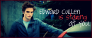 edward is staring at you