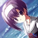 tori