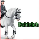 lipizzaner gelding - dressage