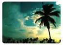beach/.