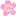 pink flower