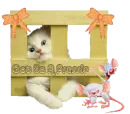 GOT YA A PRESENT KITTY