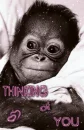 thinkin' of u