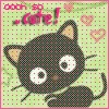 cute cat