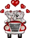 cute bear
