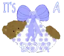 It's a boy